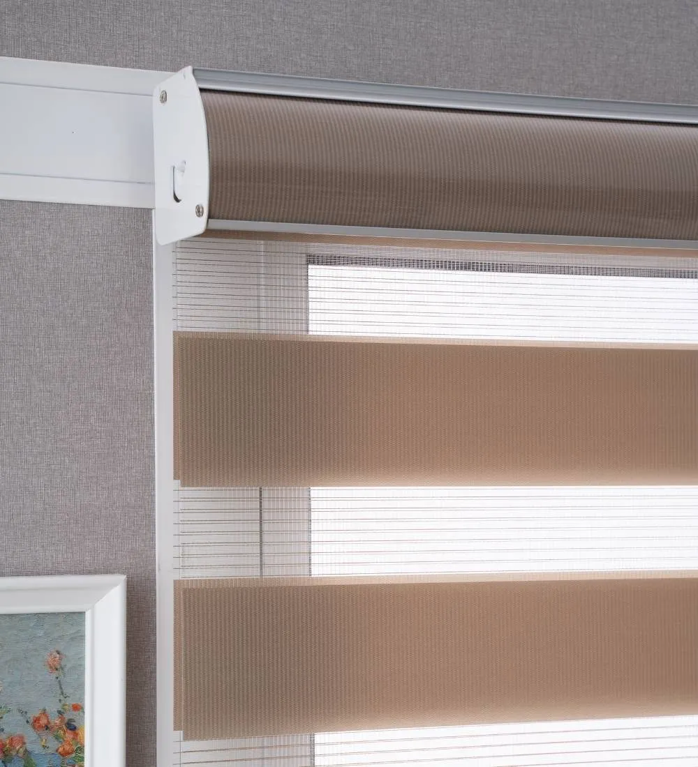 Tisa Signature Light Filtering Zebra Blinds