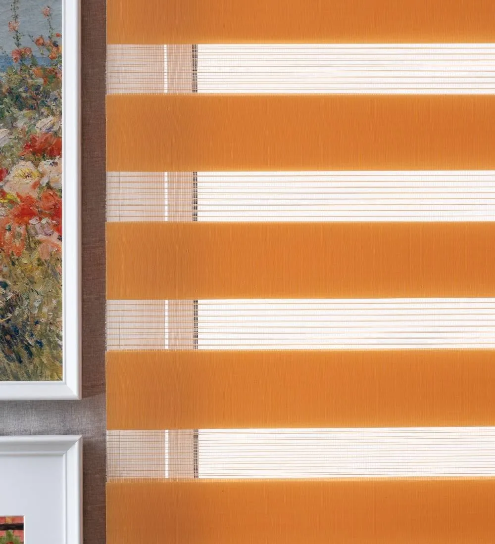 Tisa Signature Light Filtering Zebra Blinds