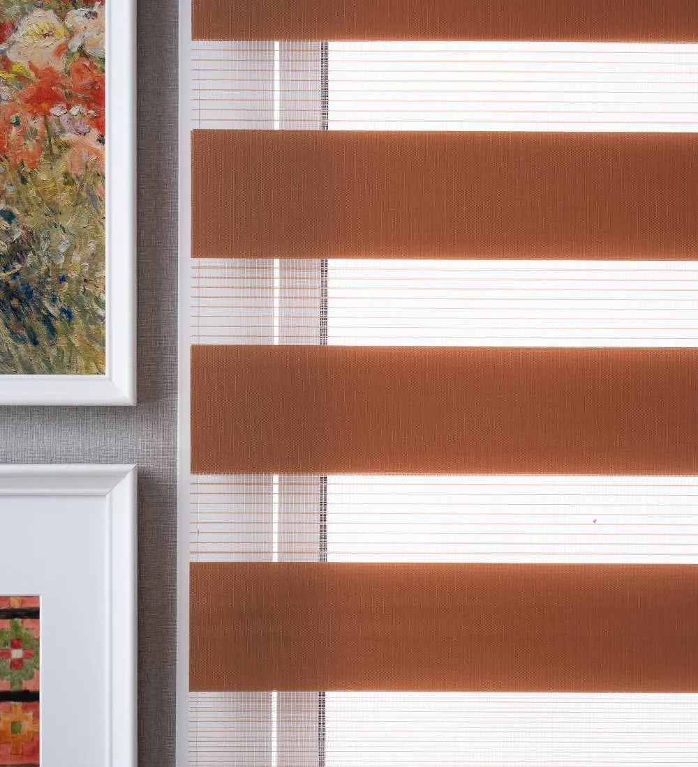 Tisa Signature Light Filtering Zebra Blinds