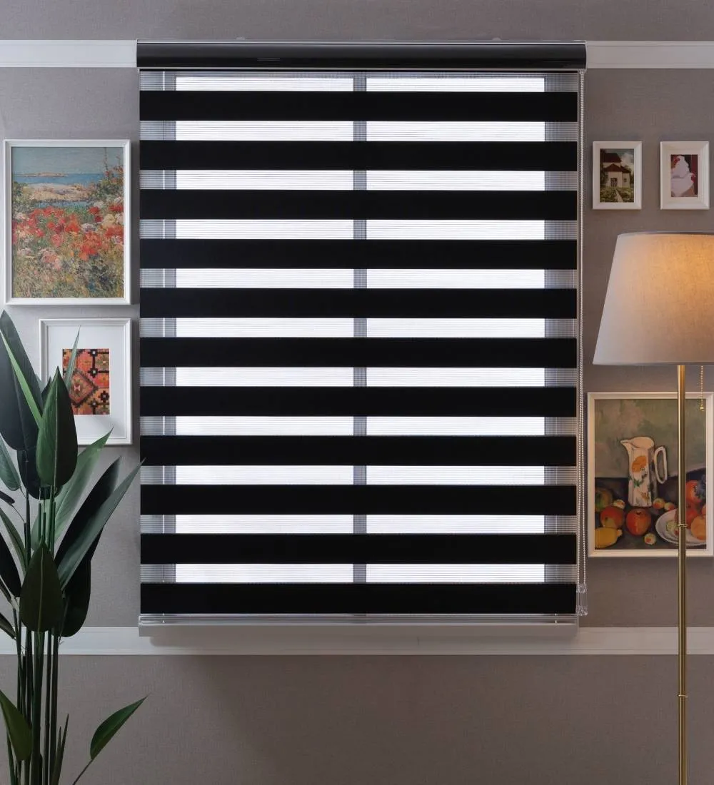 Tisa Signature Light Filtering Zebra Blinds