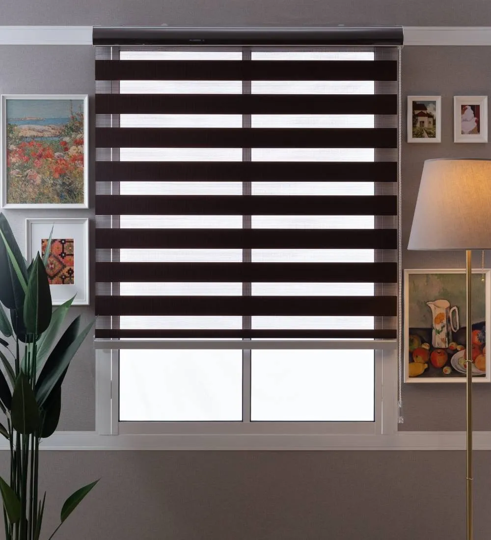 Tisa Signature Light Filtering Zebra Blinds