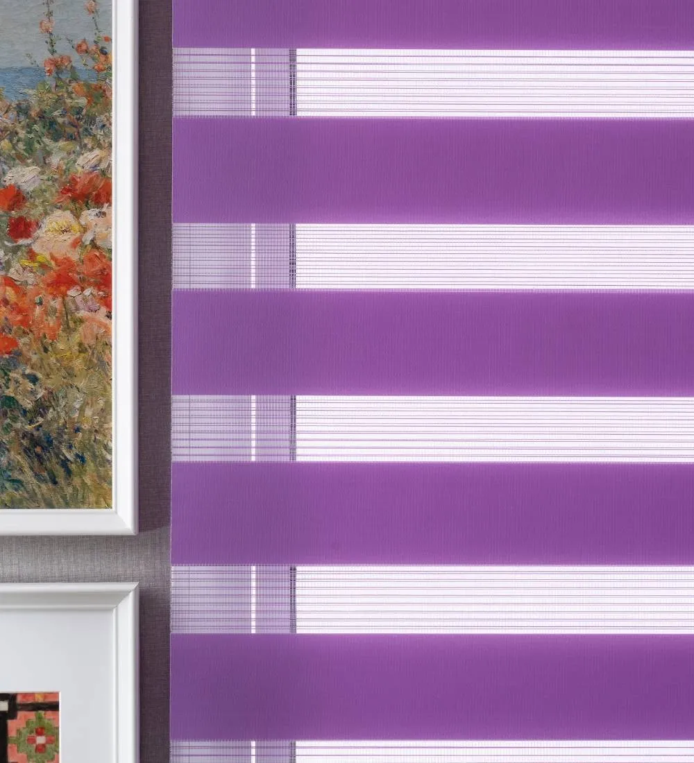 Tisa Signature Light Filtering Zebra Blinds