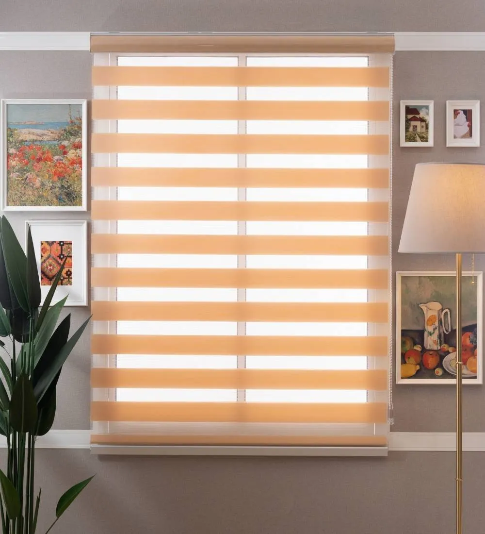 Tisa Signature Light Filtering Zebra Blinds