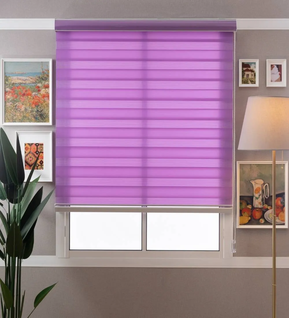 Tisa Signature Light Filtering Zebra Blinds