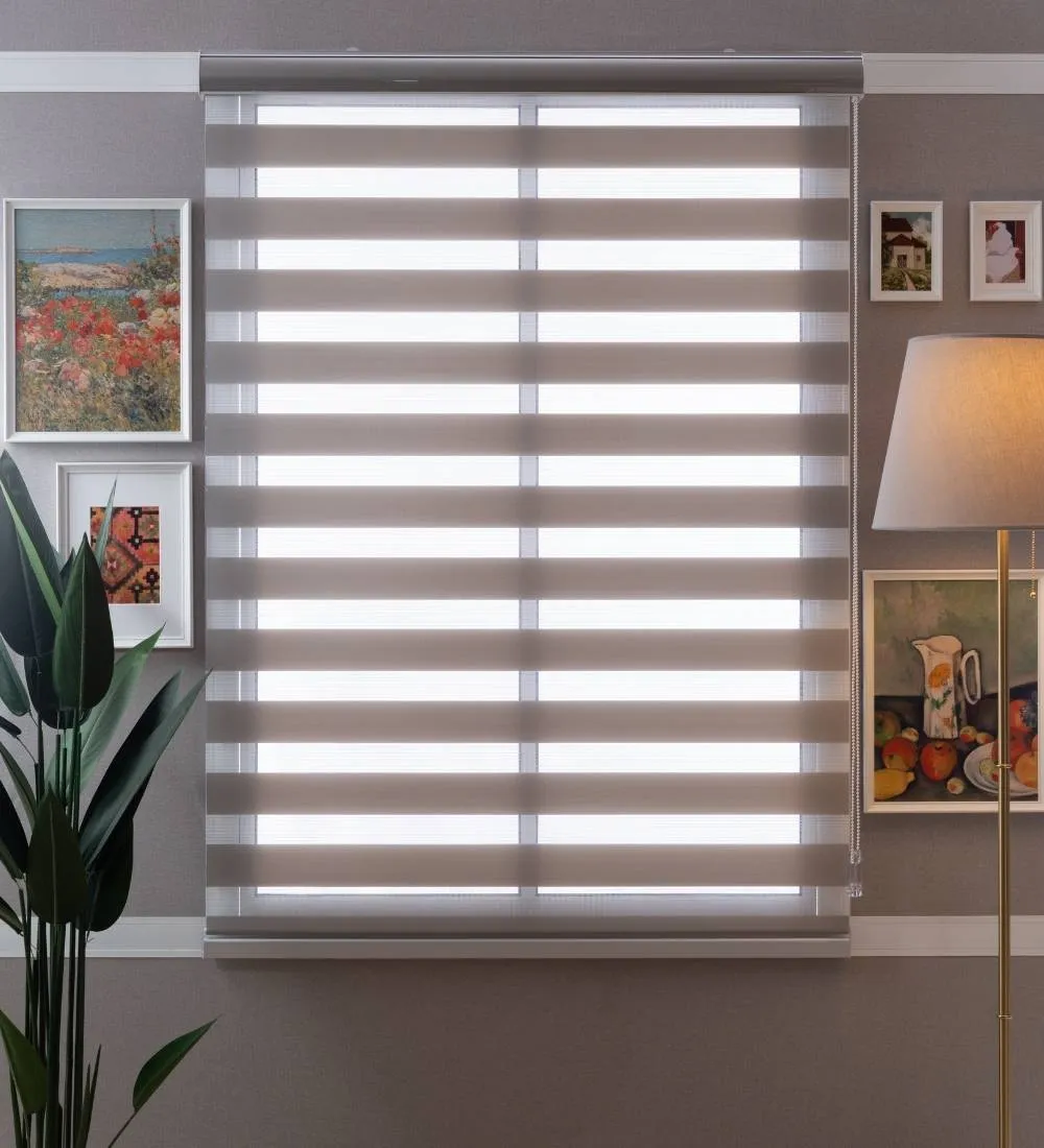 Tisa Signature Light Filtering Zebra Blinds