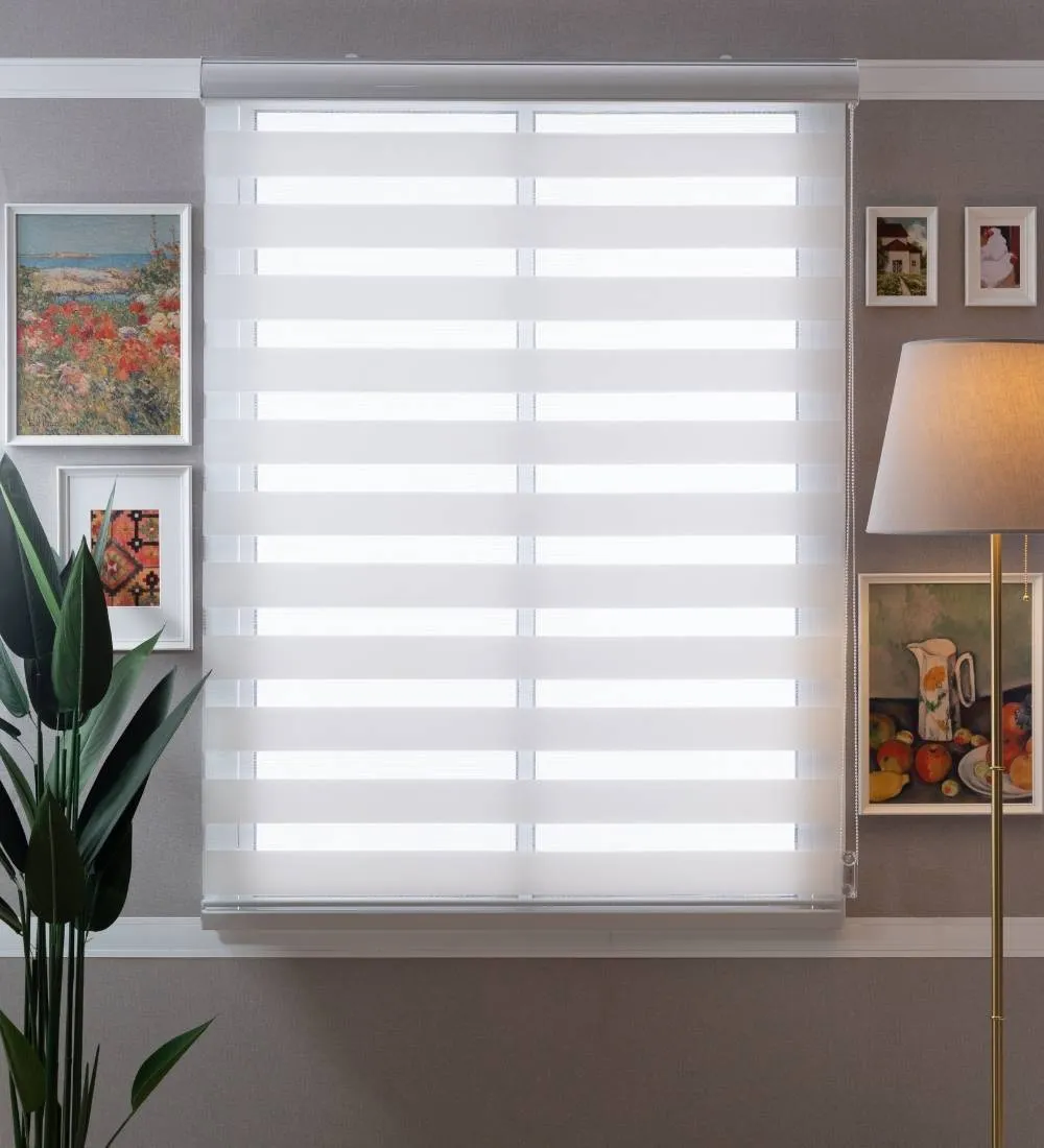 Tisa Signature Light Filtering Zebra Blinds