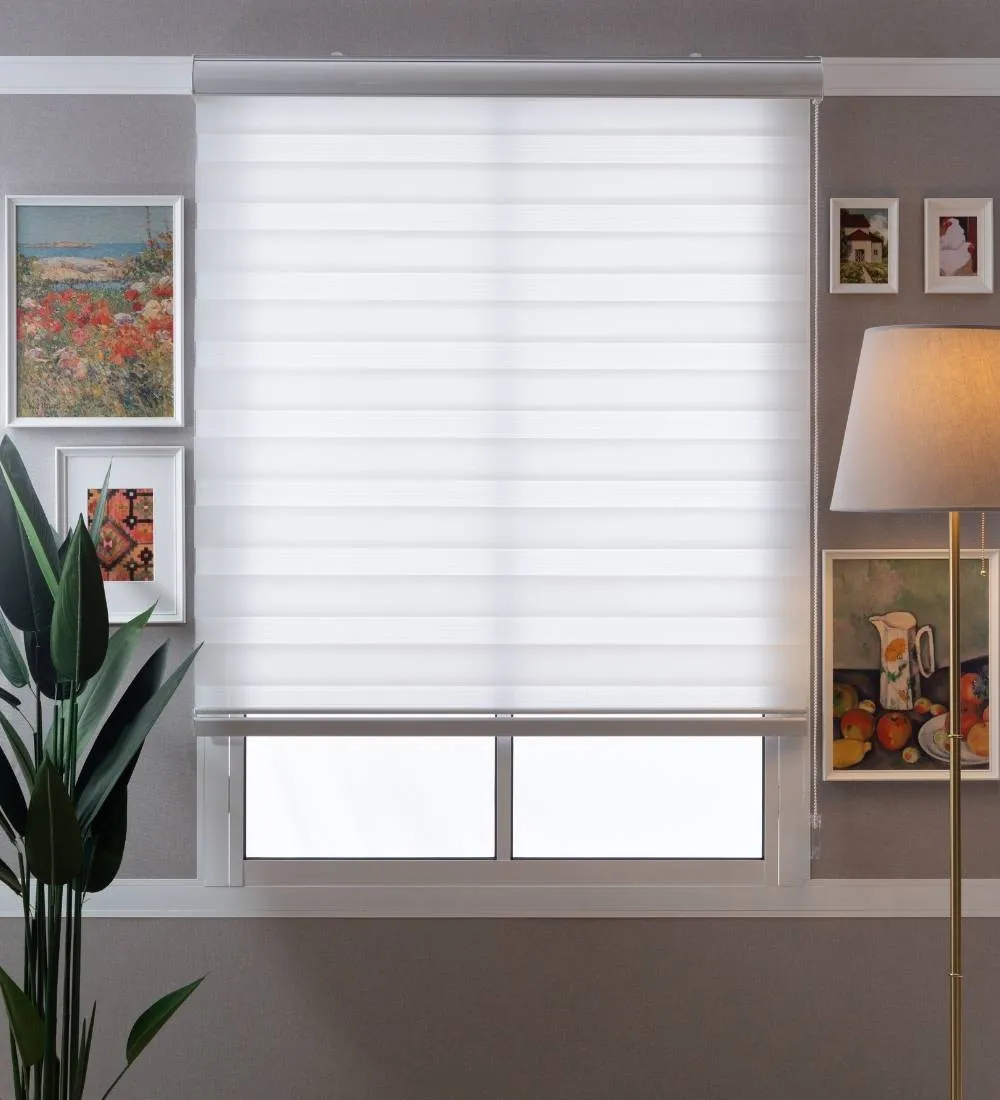 Tisa Signature Light Filtering Zebra Blinds