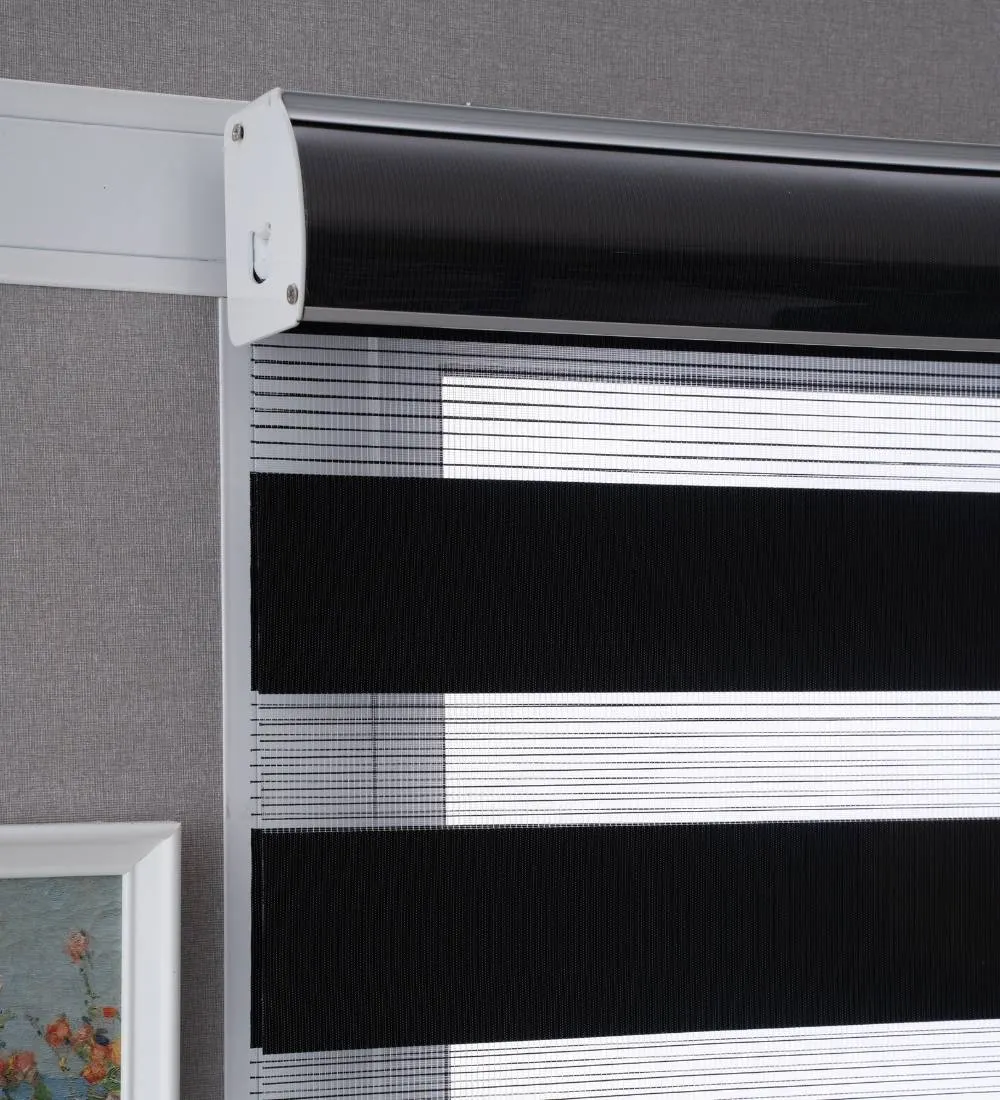 Tisa Signature Light Filtering Zebra Blinds