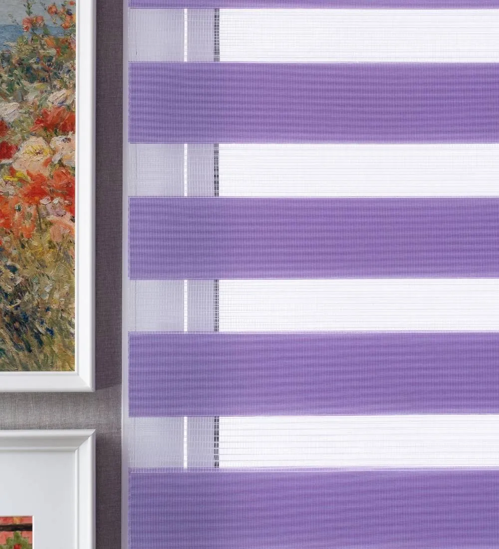 Tisa Signature Light Filtering Zebra Blinds