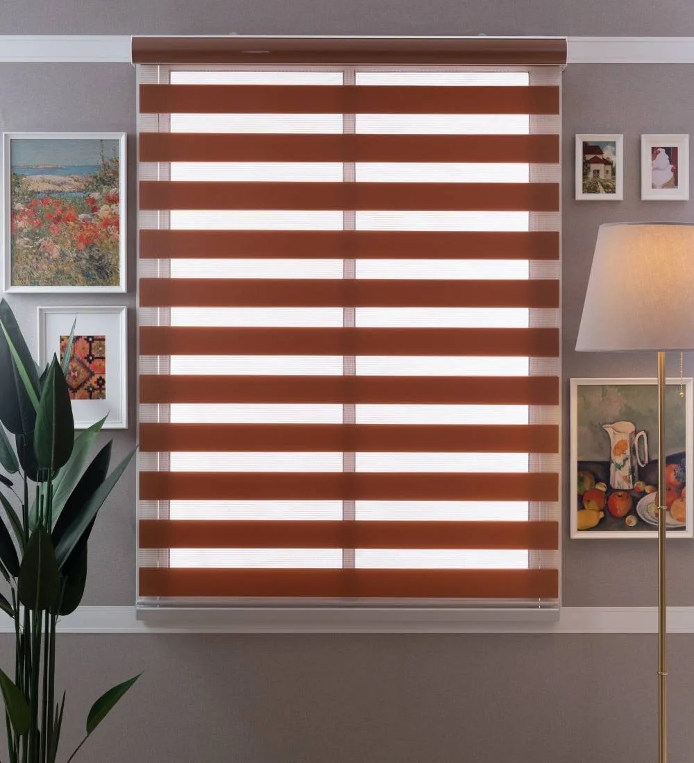 Tisa Signature Light Filtering Zebra Blinds