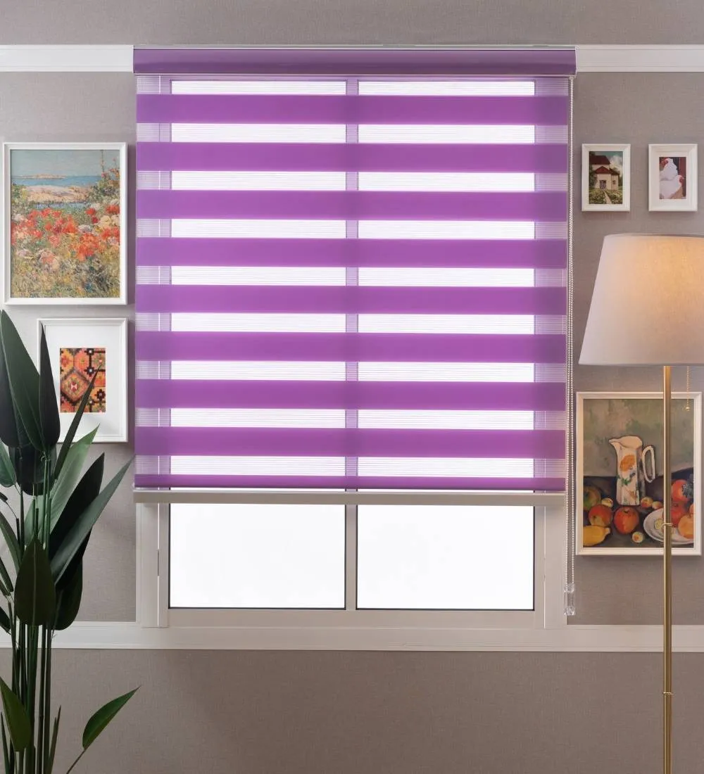 Tisa Signature Light Filtering Zebra Blinds