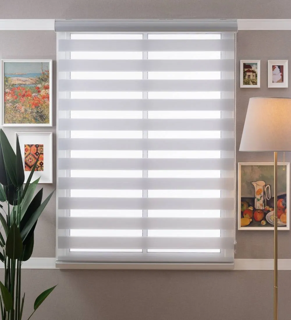 Tisa Signature Light Filtering Zebra Blinds