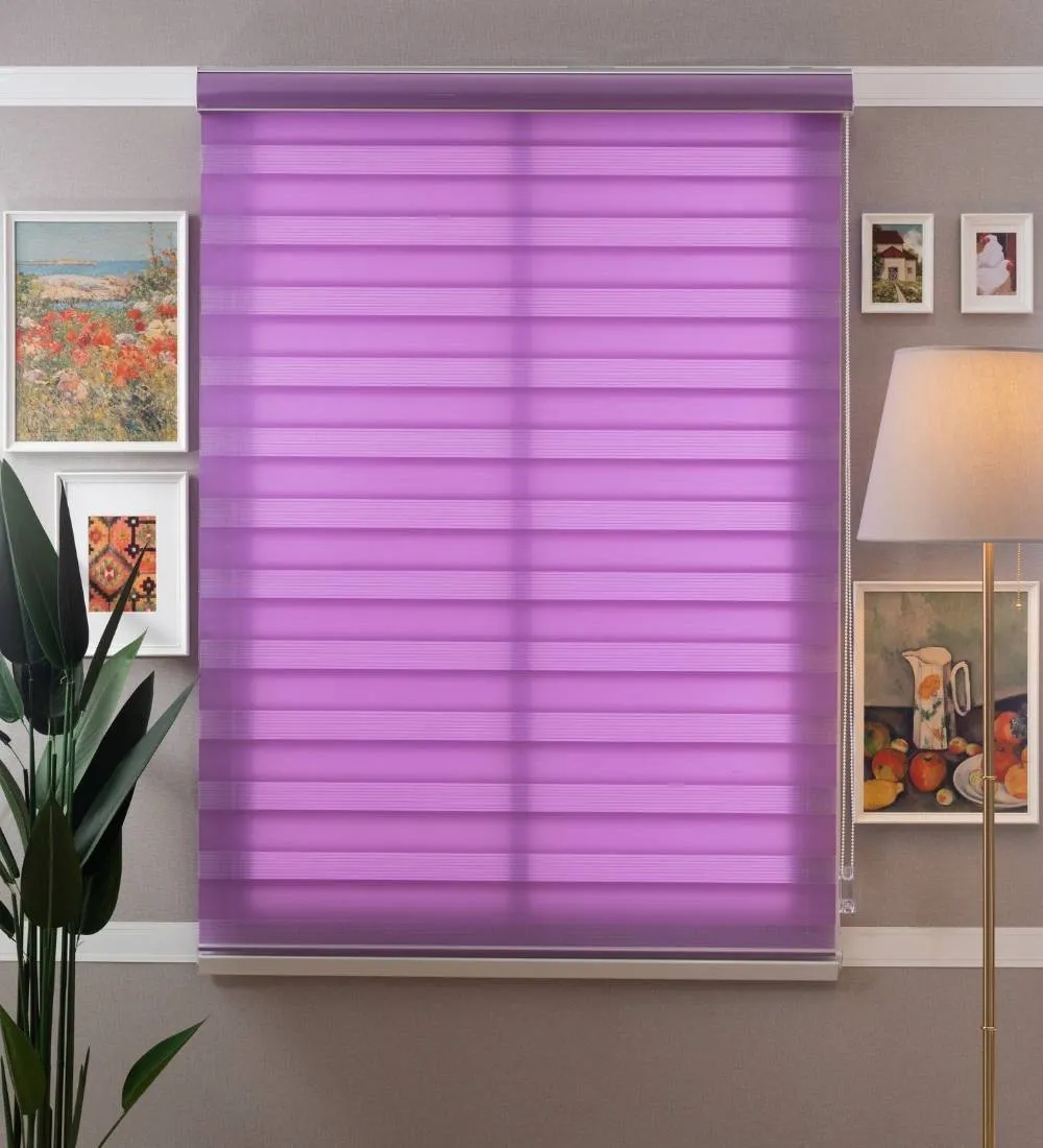 Tisa Signature Light Filtering Zebra Blinds