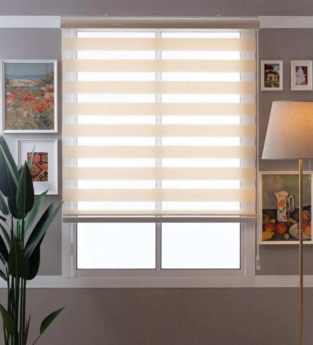 Tisa Signature Light Filtering Zebra Blinds