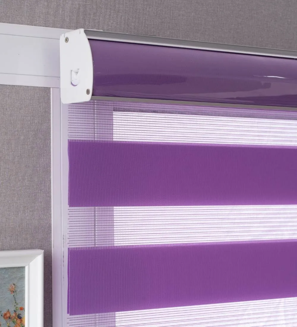 Tisa Signature Light Filtering Zebra Blinds