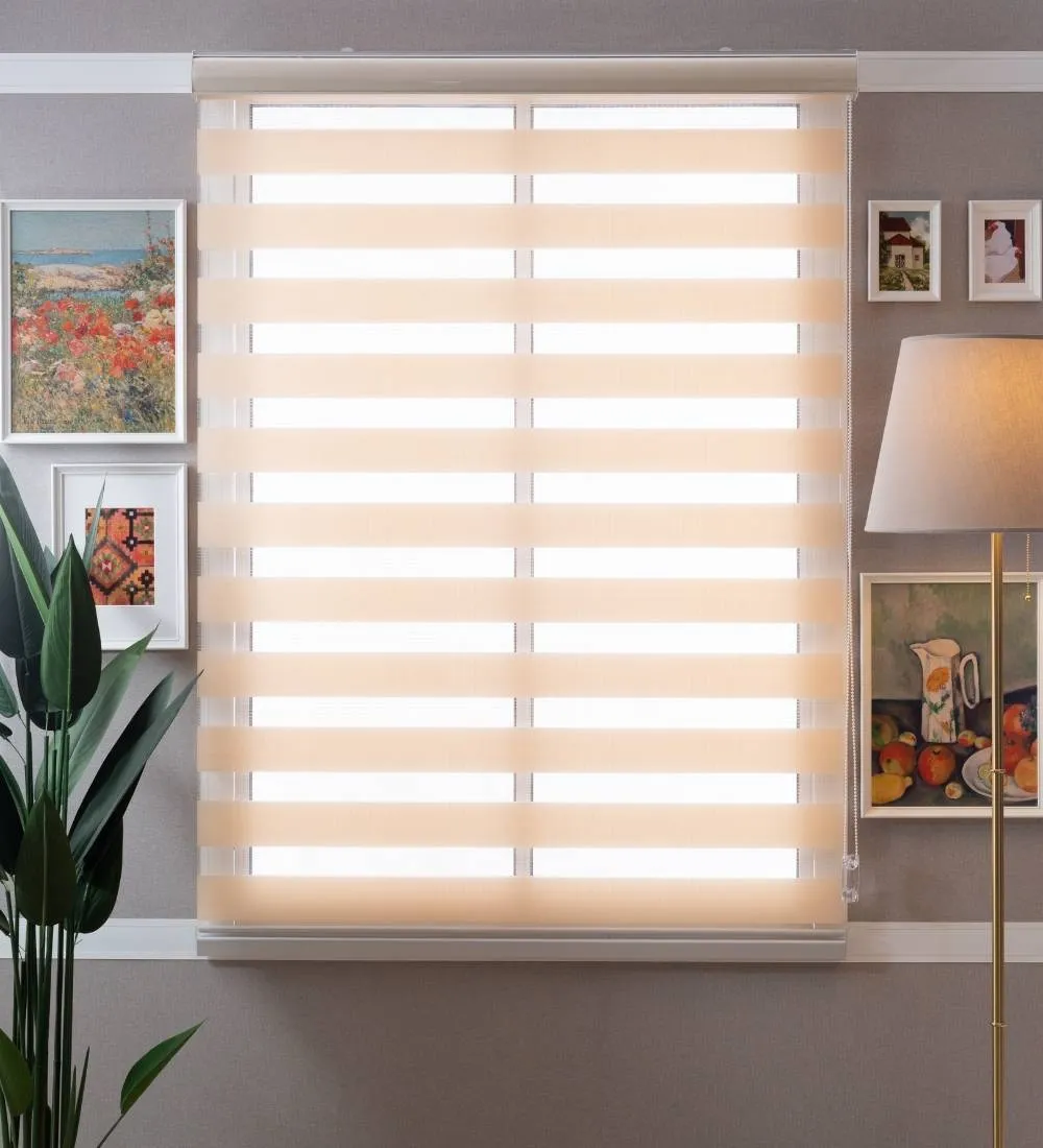 Tisa Signature Light Filtering Zebra Blinds