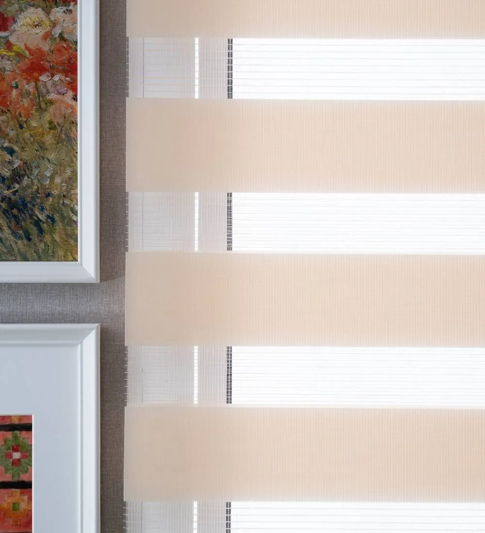 Tisa Signature Light Filtering Zebra Blinds