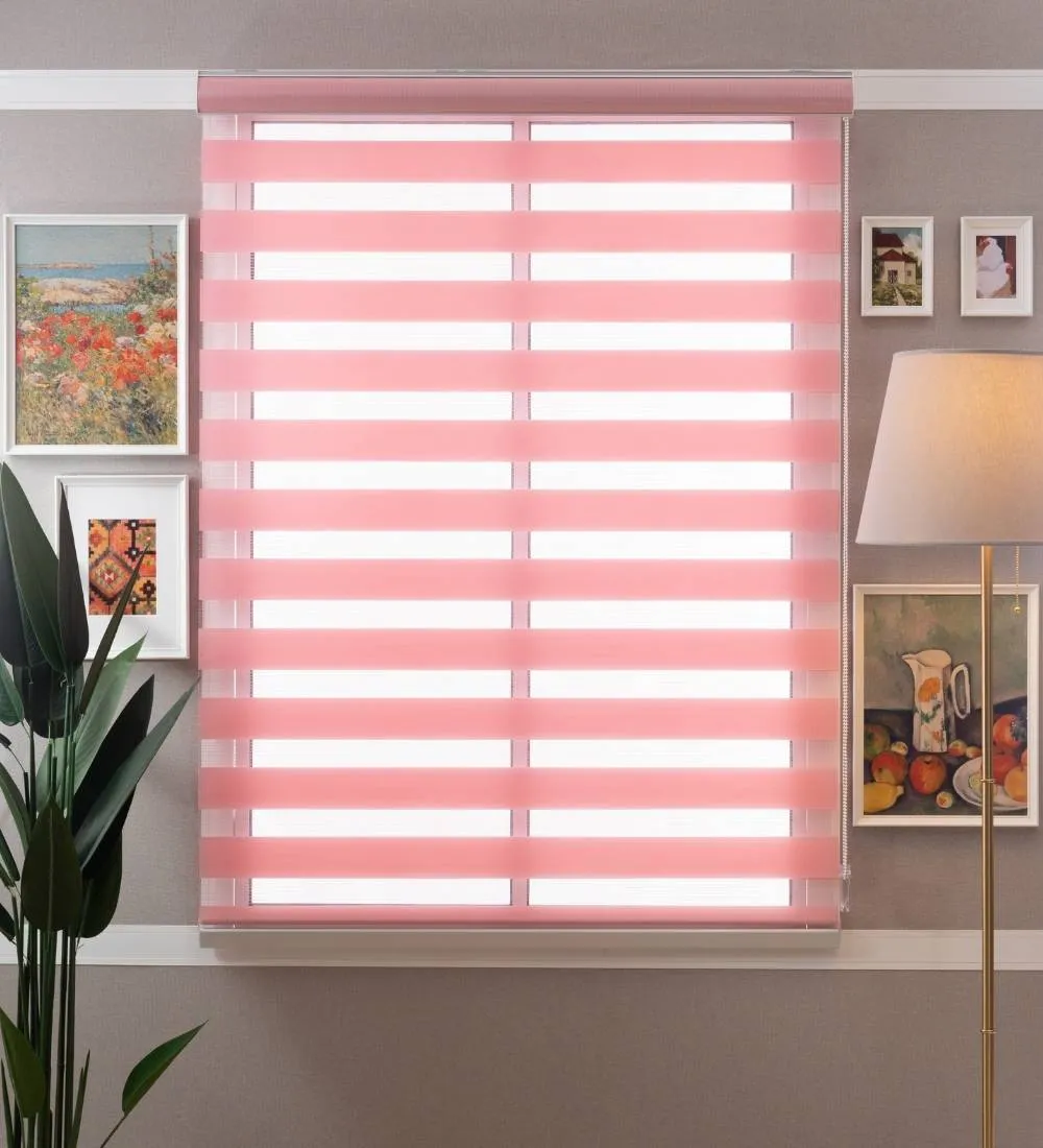 Tisa Signature Light Filtering Zebra Blinds