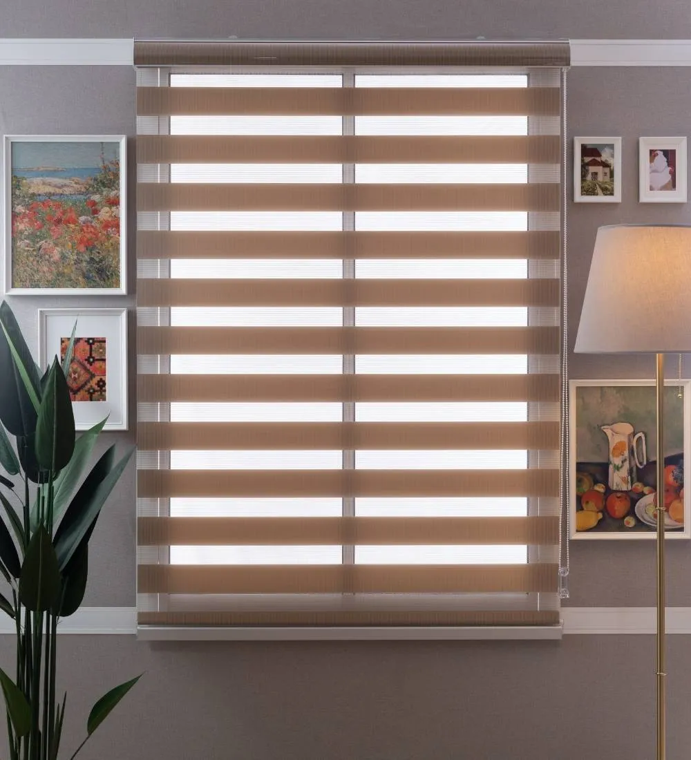 Tisa Signature Light Filtering Zebra Blinds