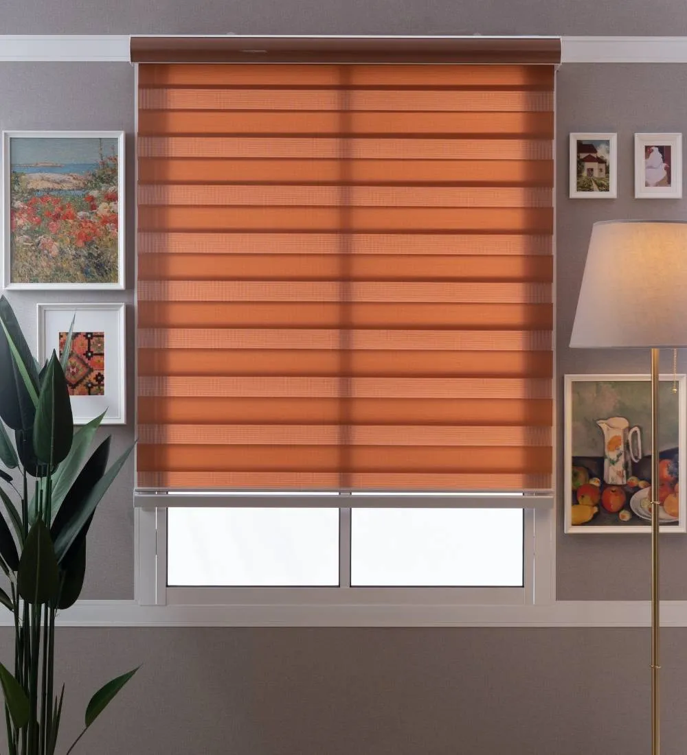 Tisa Signature Light Filtering Zebra Blinds