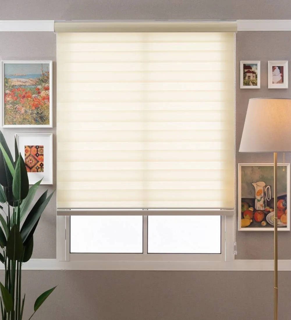 Tisa Signature Light Filtering Zebra Blinds