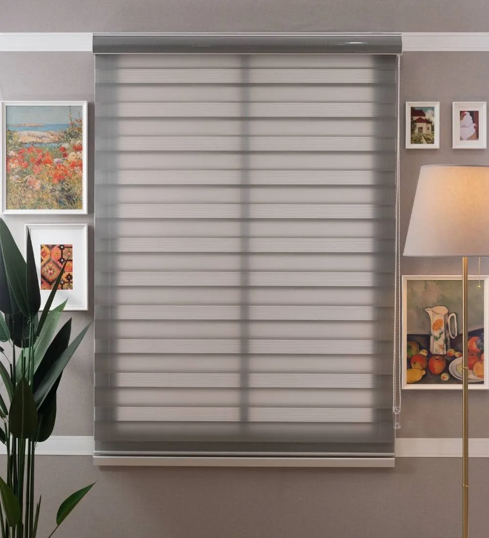 Tisa Signature Light Filtering Zebra Blinds