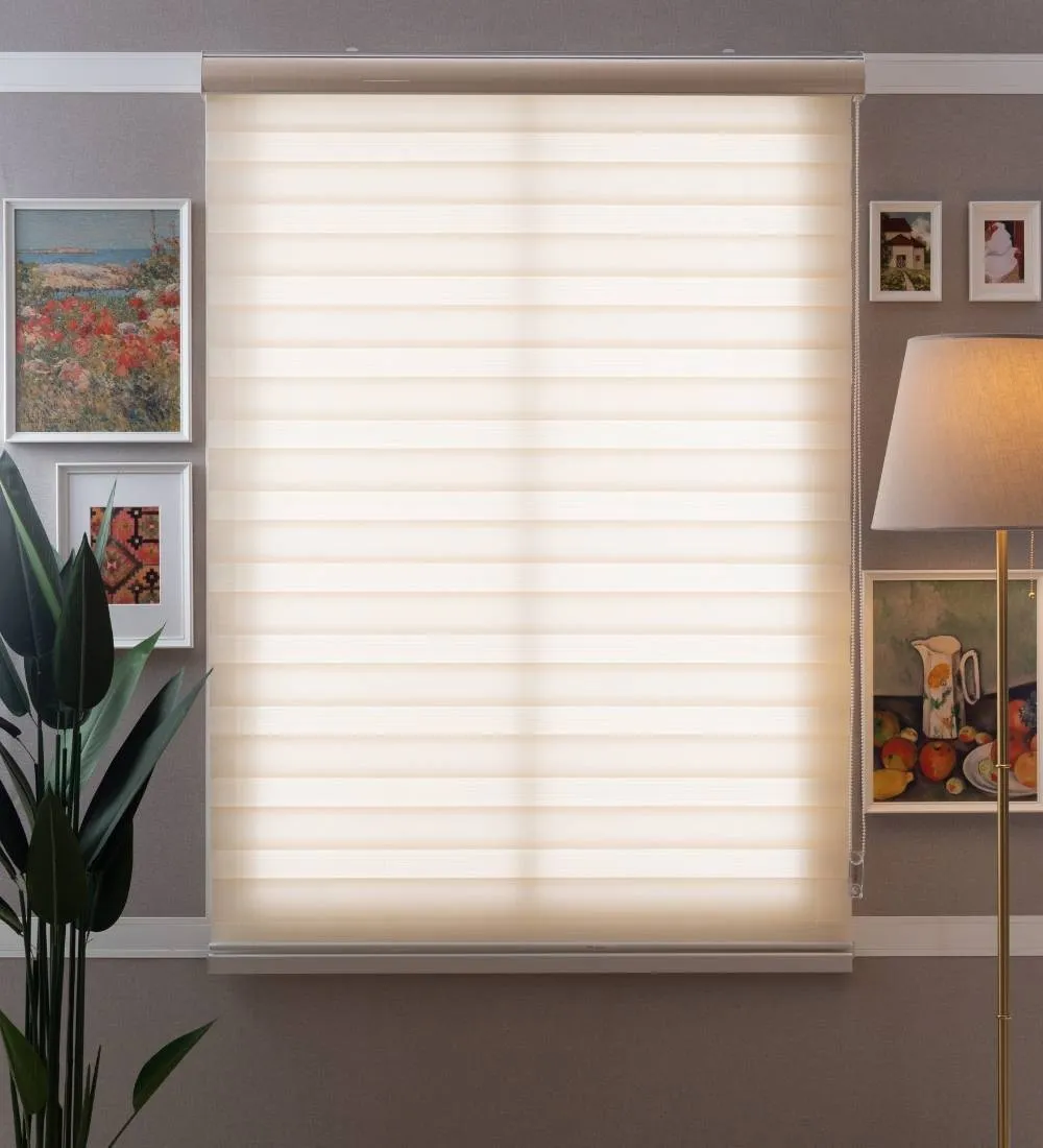 Tisa Signature Light Filtering Zebra Blinds