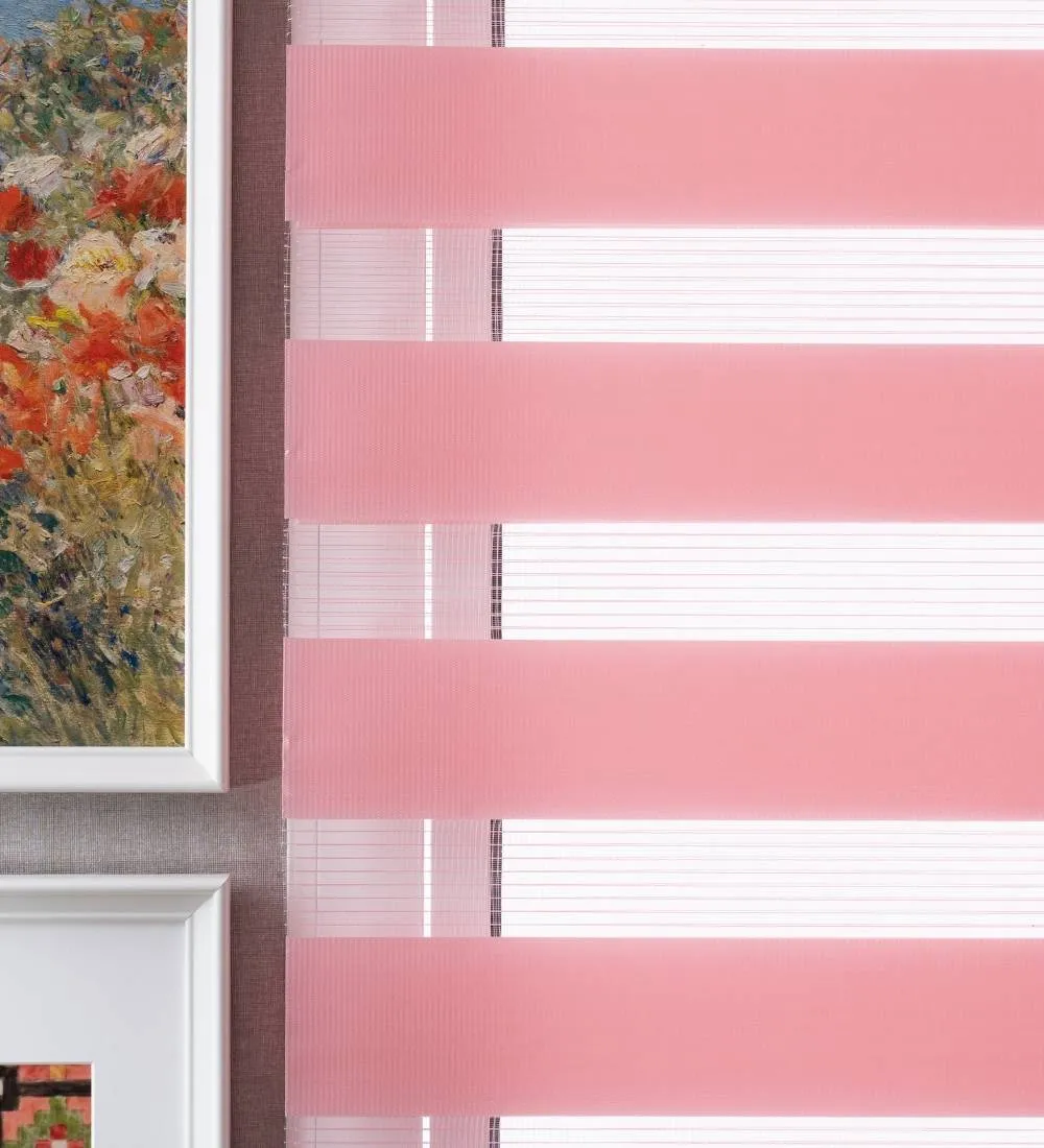 Tisa Signature Light Filtering Zebra Blinds