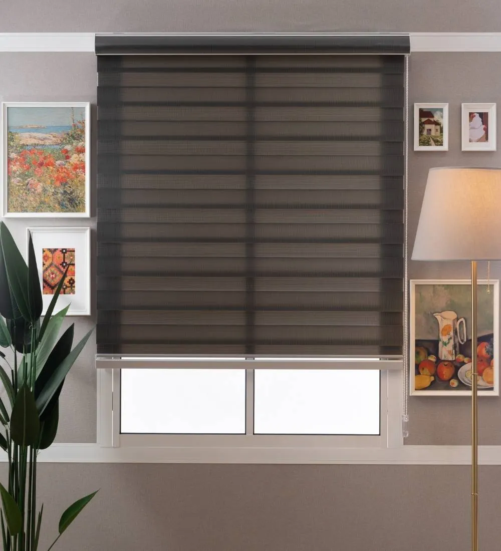 Tisa Signature Light Filtering Zebra Blinds