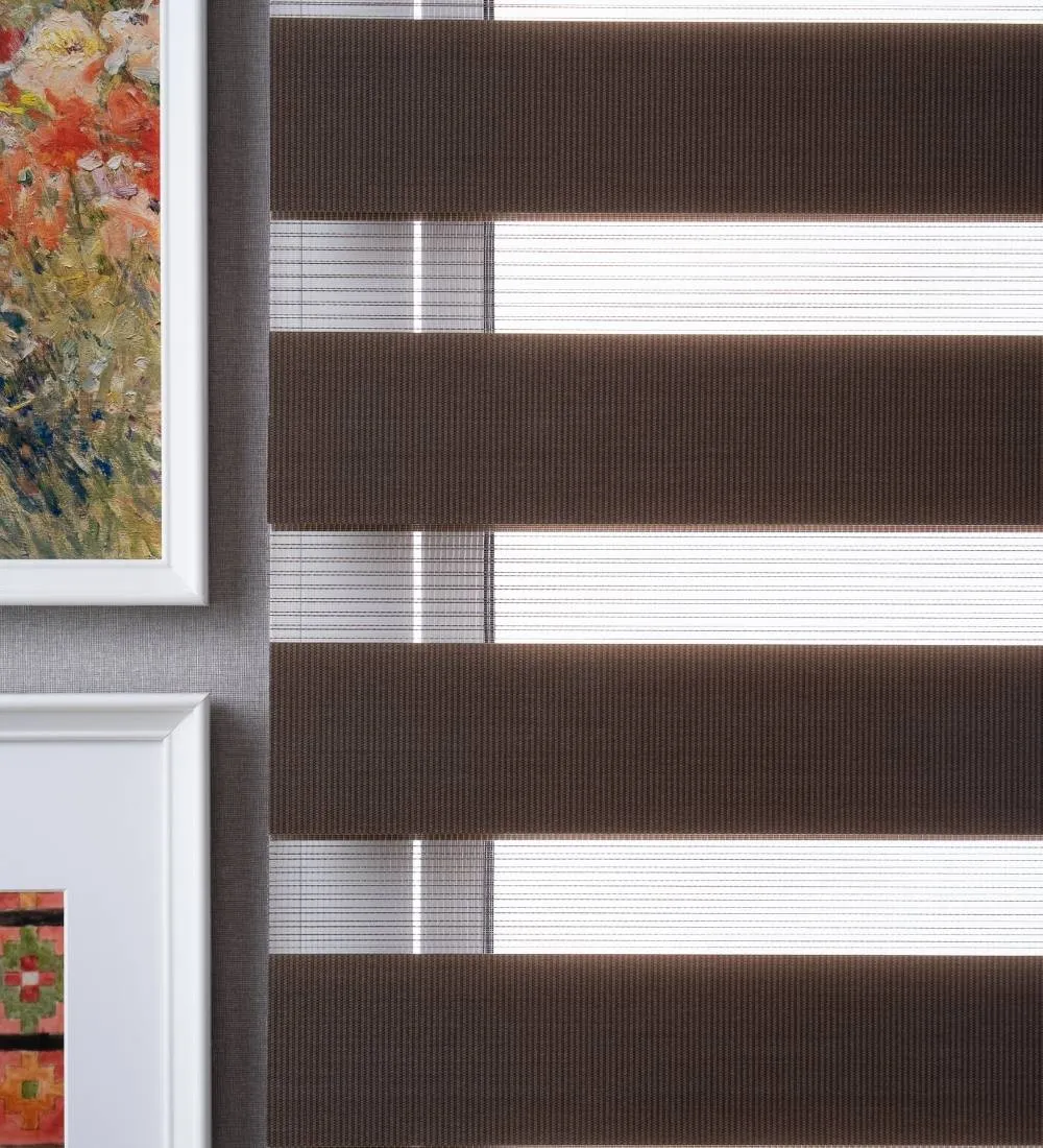 Tisa Signature Light Filtering Zebra Blinds