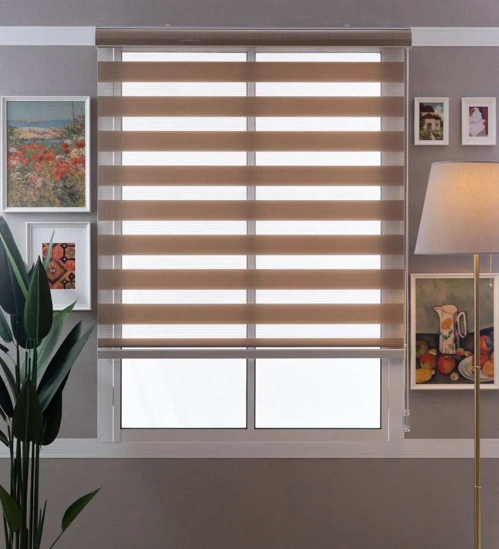 Tisa Signature Light Filtering Zebra Blinds