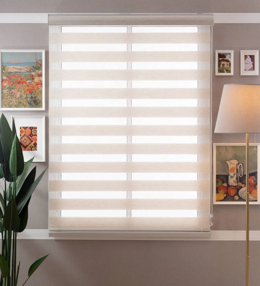 Tisa Signature Light Filtering Zebra Blinds