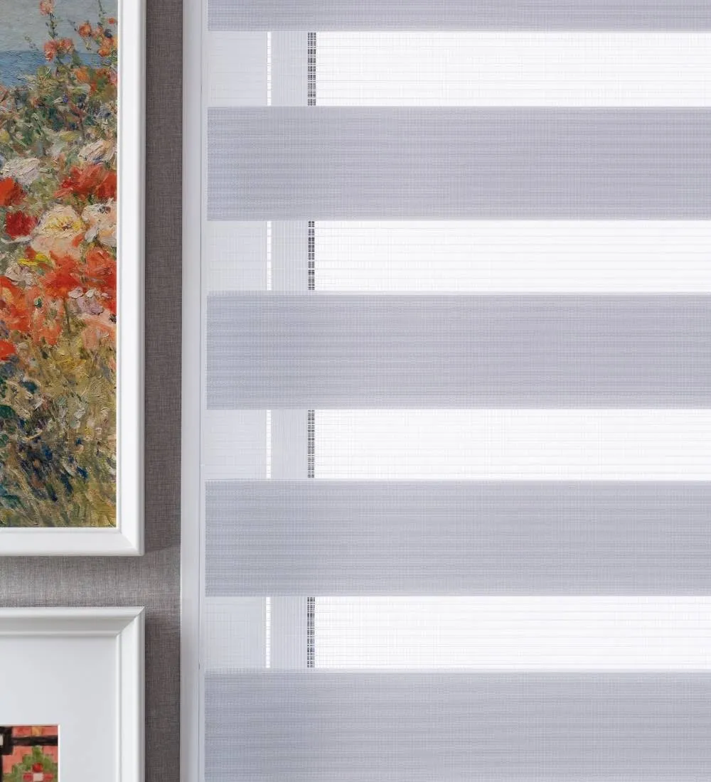 Tisa Signature Light Filtering Zebra Blinds