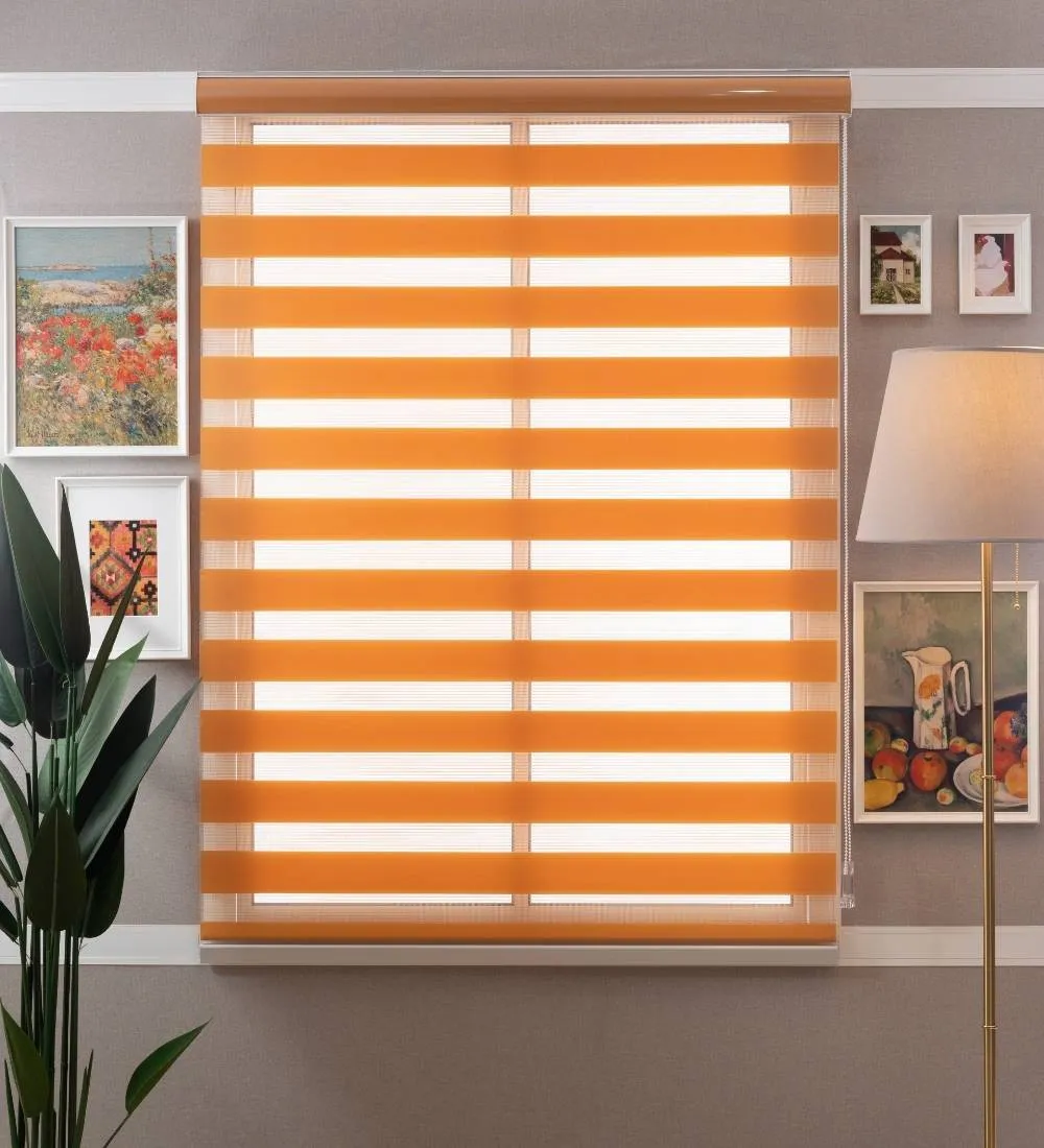 Tisa Signature Light Filtering Zebra Blinds