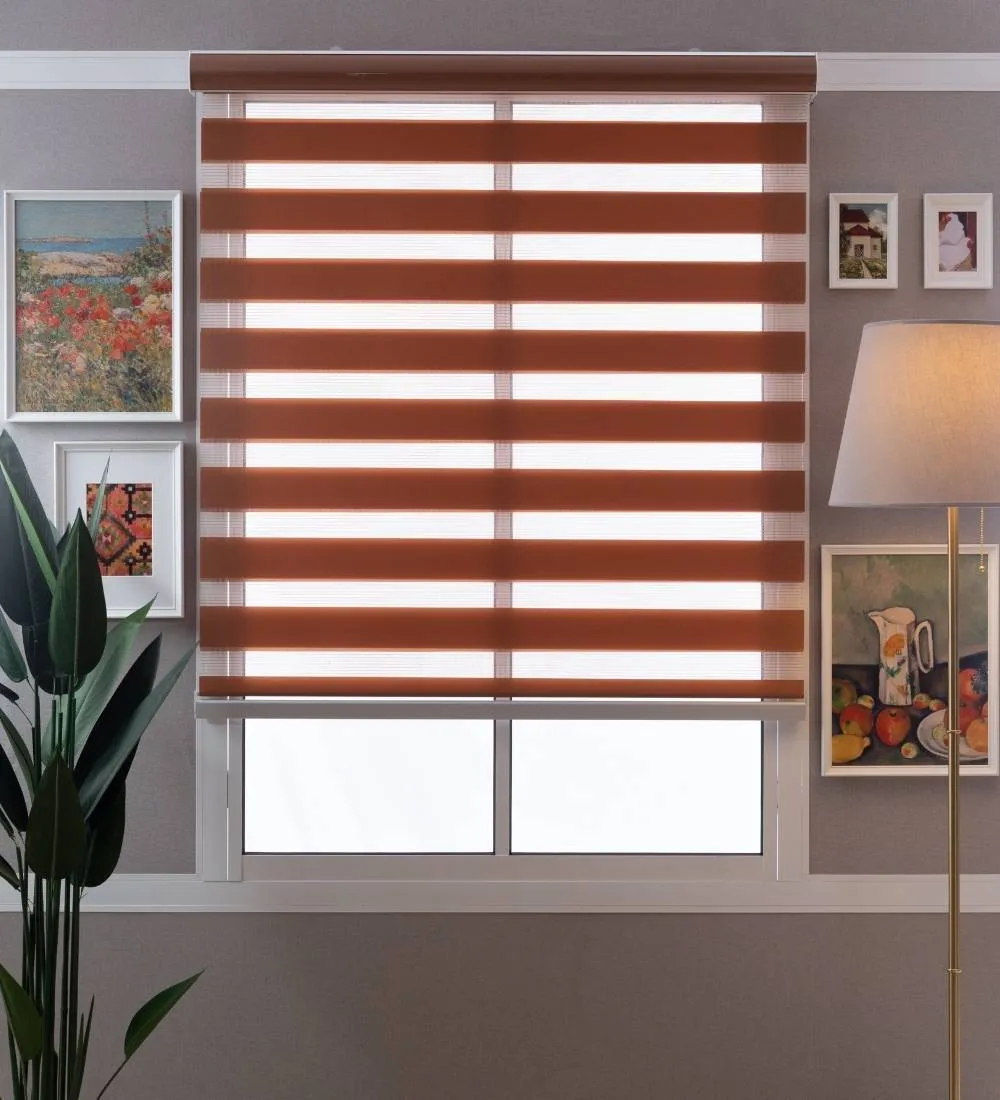 Tisa Signature Light Filtering Zebra Blinds