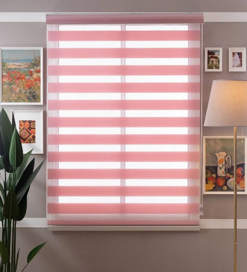 Tisa Signature Light Filtering Zebra Blinds