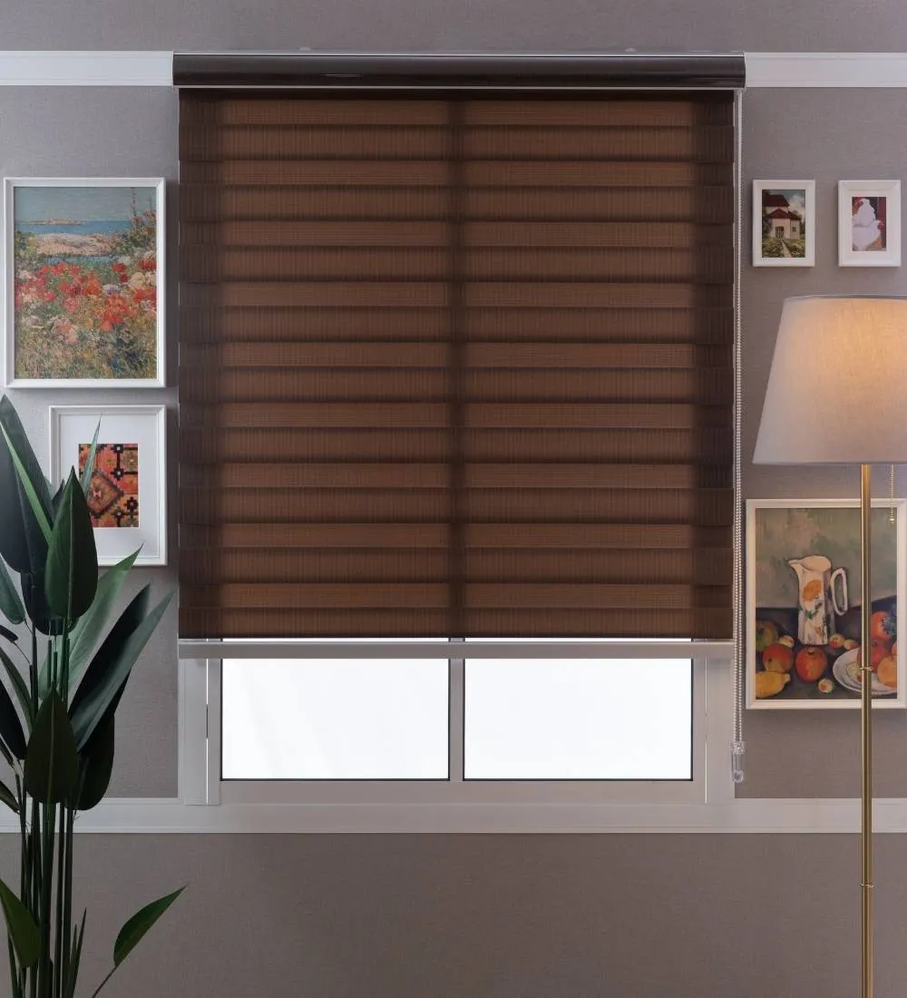 Tisa Signature Light Filtering Zebra Blinds