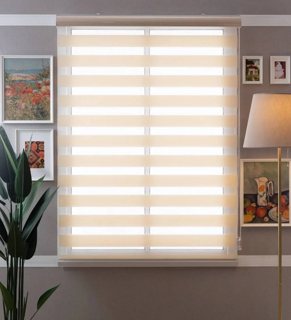 Tisa Signature Light Filtering Zebra Blinds